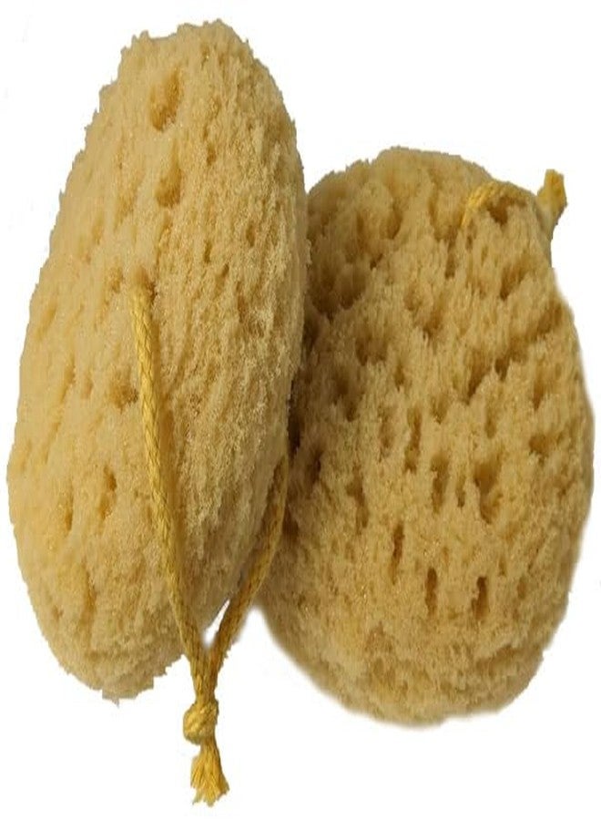 Hendel Exfoliating Foam Sea Sponge 5 Inch Natural Feel with Rope (Pack of 2) - Image 1